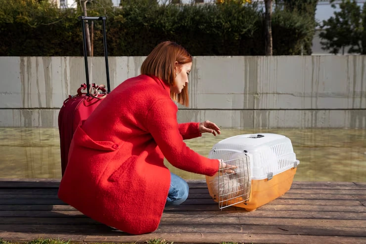 Bird Relocation Services