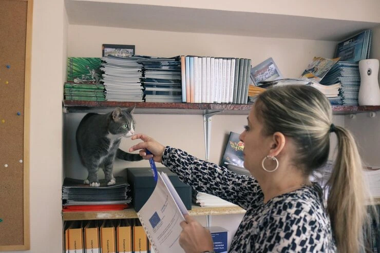 Documentation and Border Clearance Management