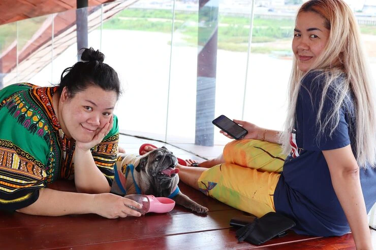 International Exotic Pet Relocation and Export Support