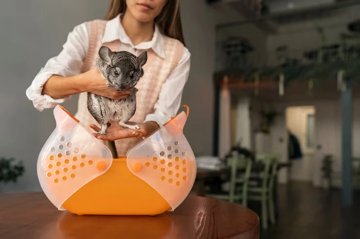 Pedigree Cat Relocation Services