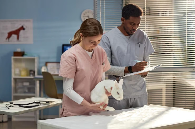 Veterinary and Health Compliance Checks