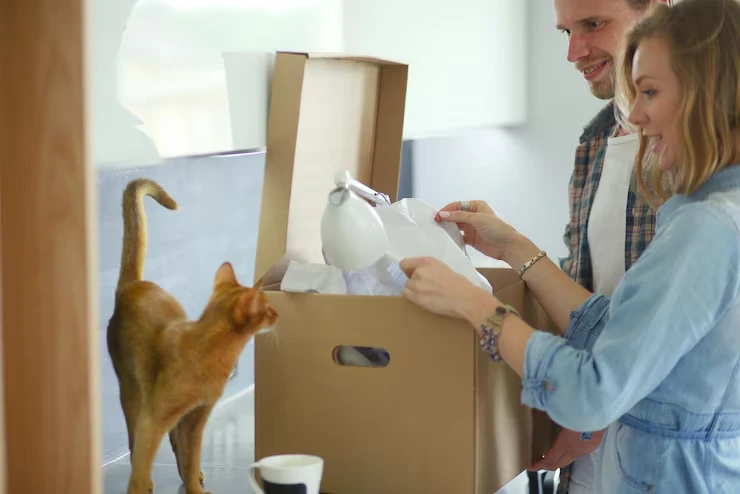 Why Choose Us for Cat Relocation Services